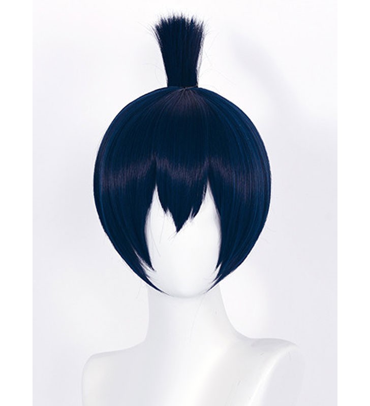 Chainsaw Man Hayakawa Aki Navy scuro Parrucca Cosplay Fibra resistente al calore Liscio Parrucche Cosplay Anime giapponesi